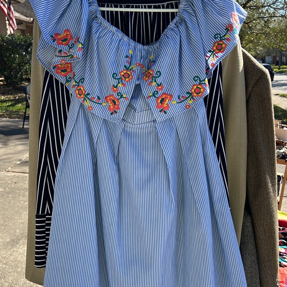 Blue Striped Dress with Floral Embroidery